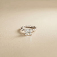 2.20 CT Princess Cut Lab Grown Diamond Frosted Promise Ring White