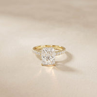 3.15CTW Radiant Cut Lab Grown Diamond Velvet Pave Engagement Ring Gold