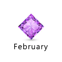 Amethyst February