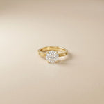 2 CT Round Lab Grown Diamond Regal Split Band Ring Gold