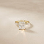 3.15CTW Radiant Cut Lab Grown Diamond Velvet Pave Engagement Ring Gold