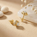 0.47Ct Moissanite Petal Frame Stud Earrings