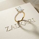 3.76 Ct Radiant Moissanite Pavé Engagement Ring